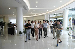 杭州市委常委佟桂莉蒞臨華星正淘跨境電商園